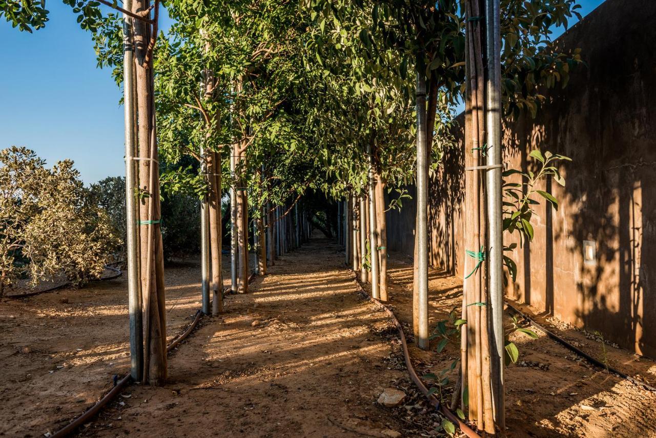 Angel Hill Villa Xirokambion Ngoại thất bức ảnh